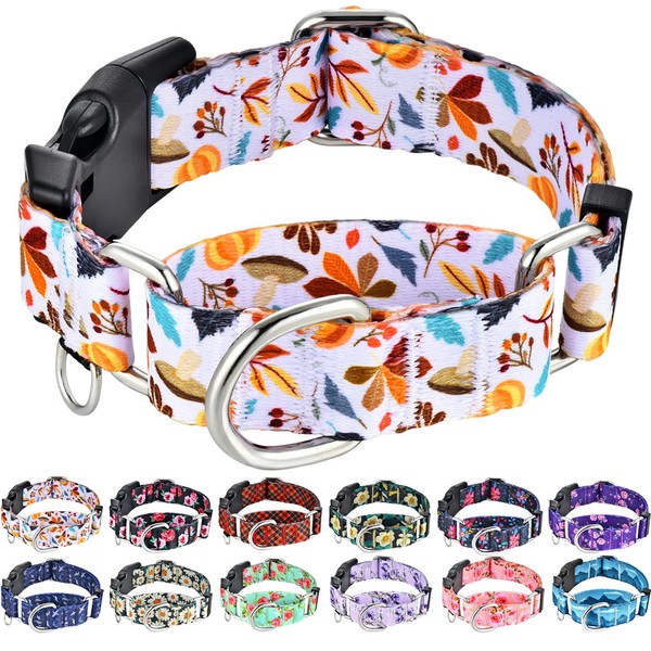 Fidohug Martingale Collar for Dogs Fall Dog Collars for Small