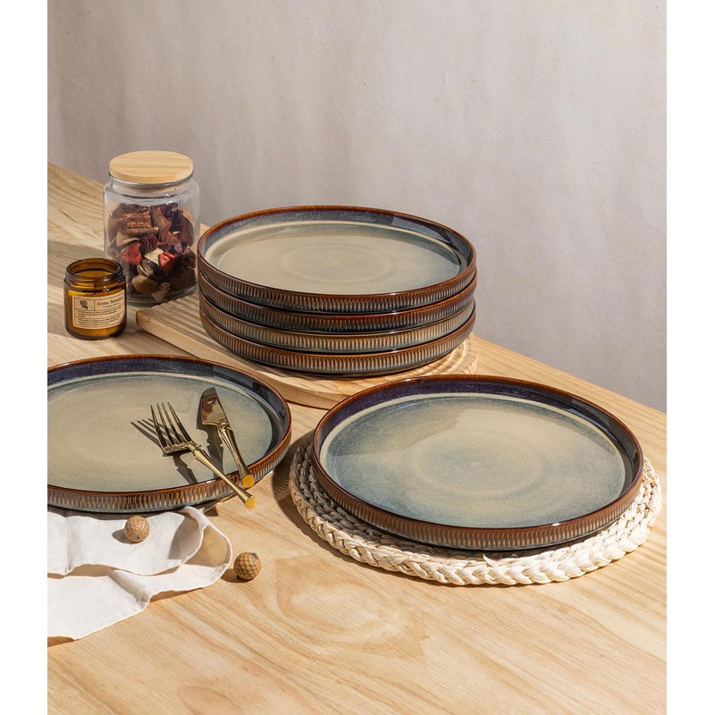 theterra Dinner Plates Set of 6, 10.25 Inch Ceramic Dinner