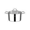 VENTION Tri-Ply Stainless Steel Stock Pot with Lid, Induction Cooking