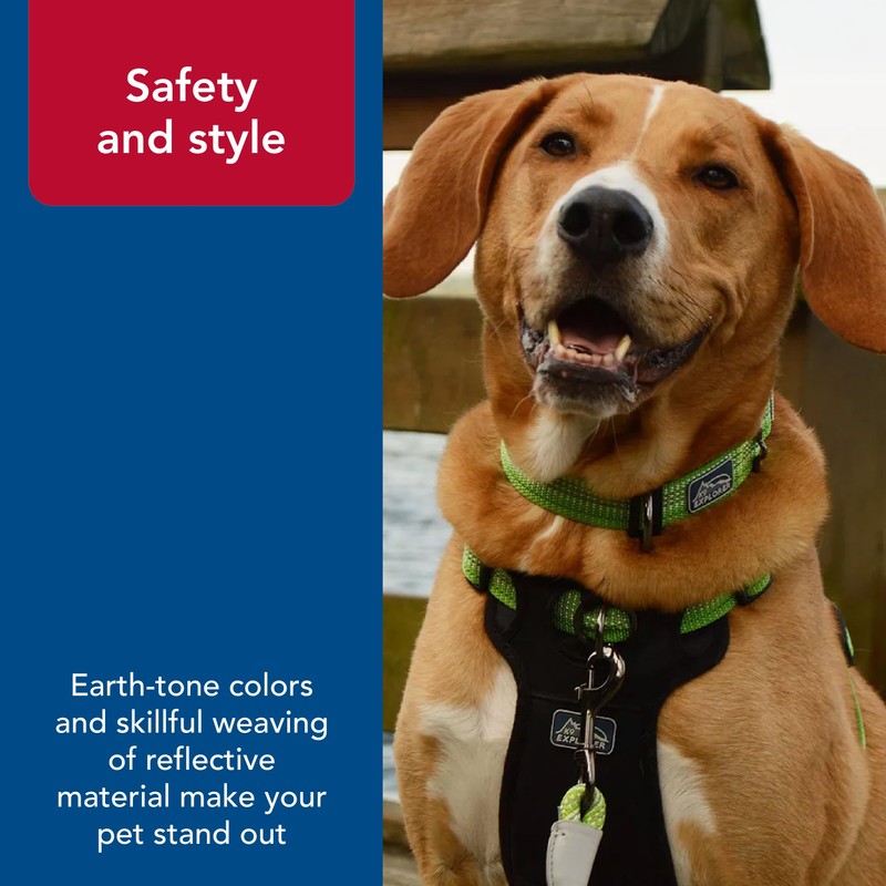 Coastal Pet - K-9 Explorer - Brights Reflective Adjustable Dog