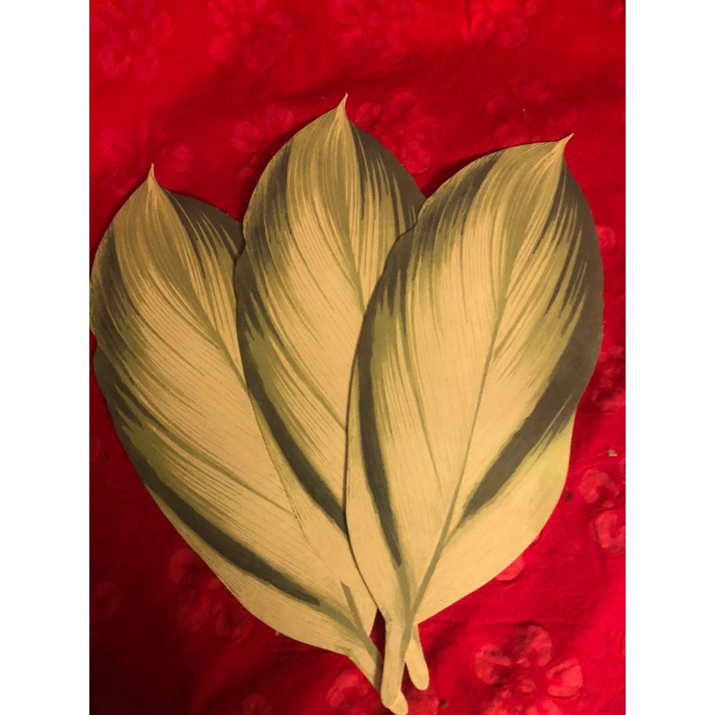 Large tropical leaves -- paper about 9" long by 3"