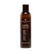 Philip Martin's Shampoo Hair Care In Oud Wash