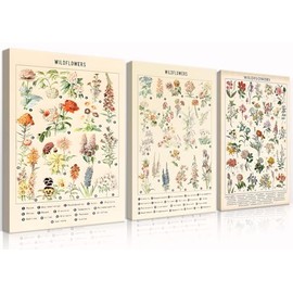 3Pcs Vintage Wildflowers Botanical Canvas Wall Art Colorful Rustic Style of Floral Picture Prints Farmhouse Style Illustrative Reference Flower Chart Painting Wall Decor(12x16in Wrapped Canvas)