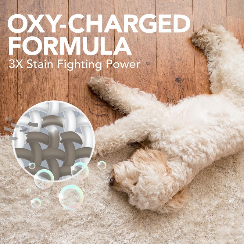 Simple Solution Oxy Charged Pet Stain and Odor Remover, Eliminates