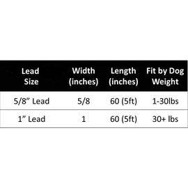 The Worthy Dog Pineapples Lead for Dogs, Designer Pet Dog Leash, Strong Leash Dog, Webbing Dog Leash - Pink Color