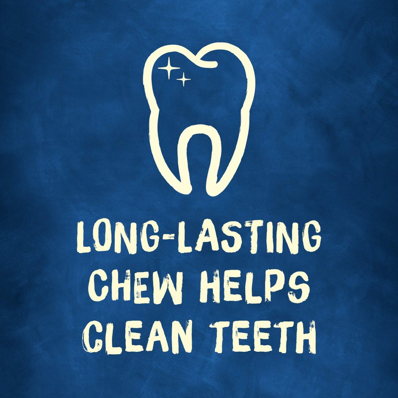 Purina Busy Rawhide Small/Medium Breed Dog Bones, Rollhide - 9