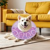Cat Cone Collar Soft - Foldable Cat Neck Cone |