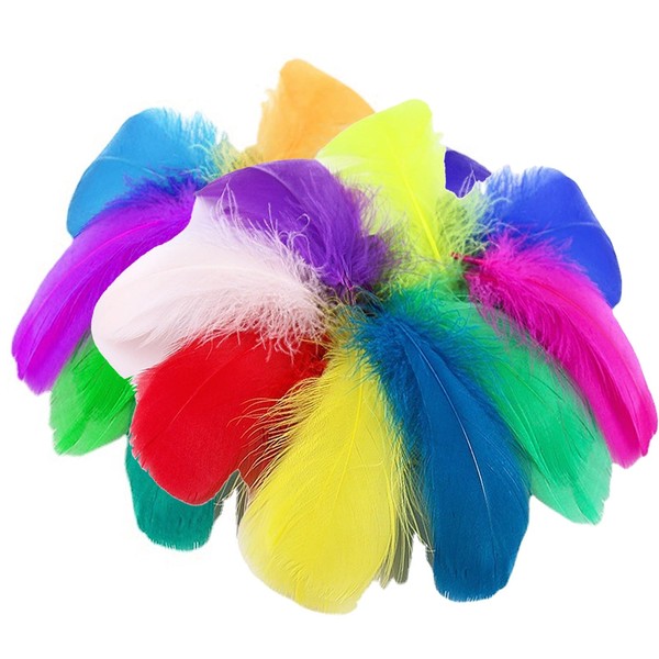Pack of 300 Colourful Feathers for Crafts Feathers, Craft Feathers,