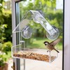 Clear Window Bird Feeder with Suction Cups – Transparent Acrylic