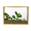 Gift Republic Vertical Indoor Planter, Pine Wood, Brown, One Size