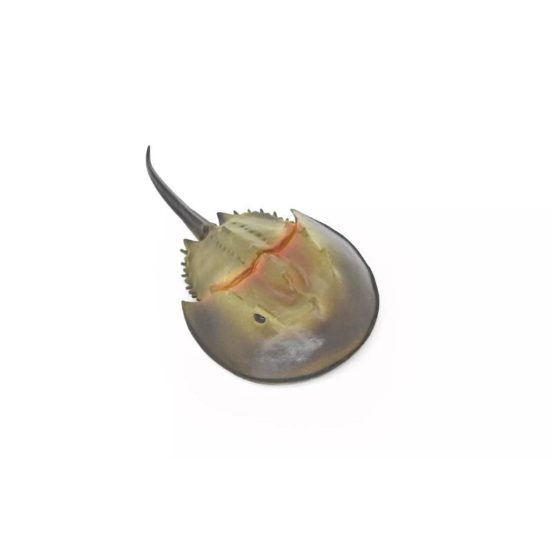 Deshen Du Horseshoe Crab Toy, Arthropods, Quality, Rubber, Educational, Model,