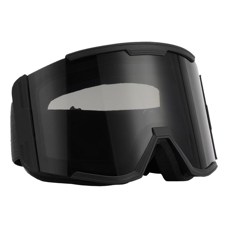Adult Ski Goggles Double Layer Anti Fog Large Field Cylindrical