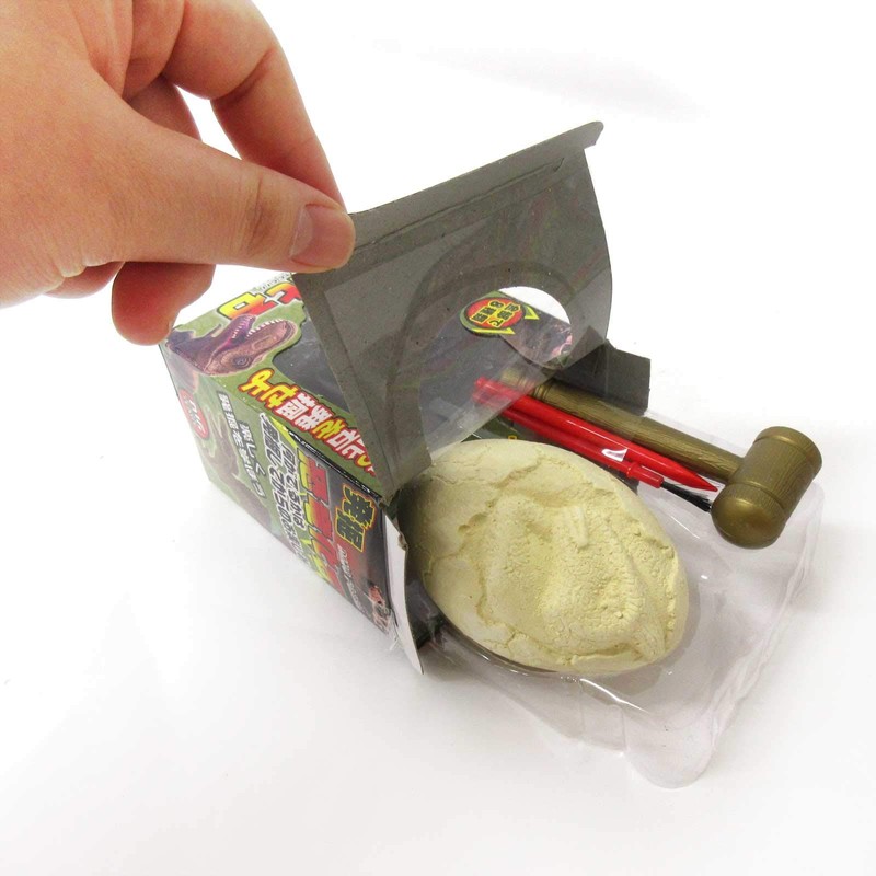 Dinosaur Fossil 206-631