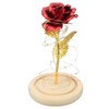 Rose in Glass Dome Lucky Beautiful Symbolism Romantic Enchanted Rose