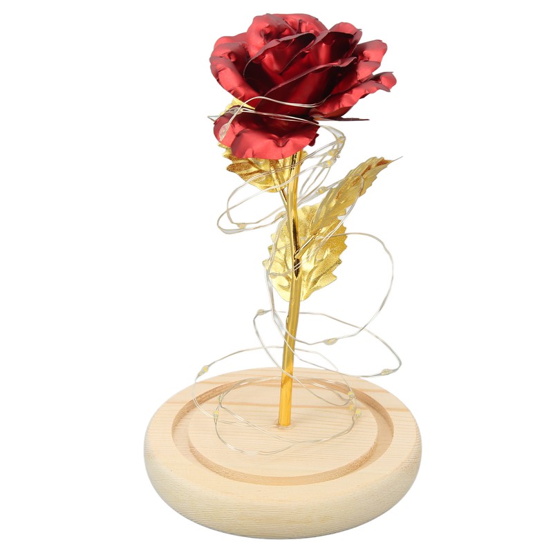 Rose in Glass Dome Lucky Beautiful Symbolism Romantic Enchanted Rose