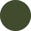 Preanfa PGU-M322 Color Gel Moss Green 322 0.1 oz (3