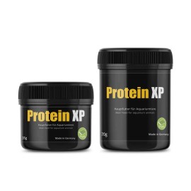 GlasGarten Protein XP - SHRIMP FOOD - 35g or 70g - 35g