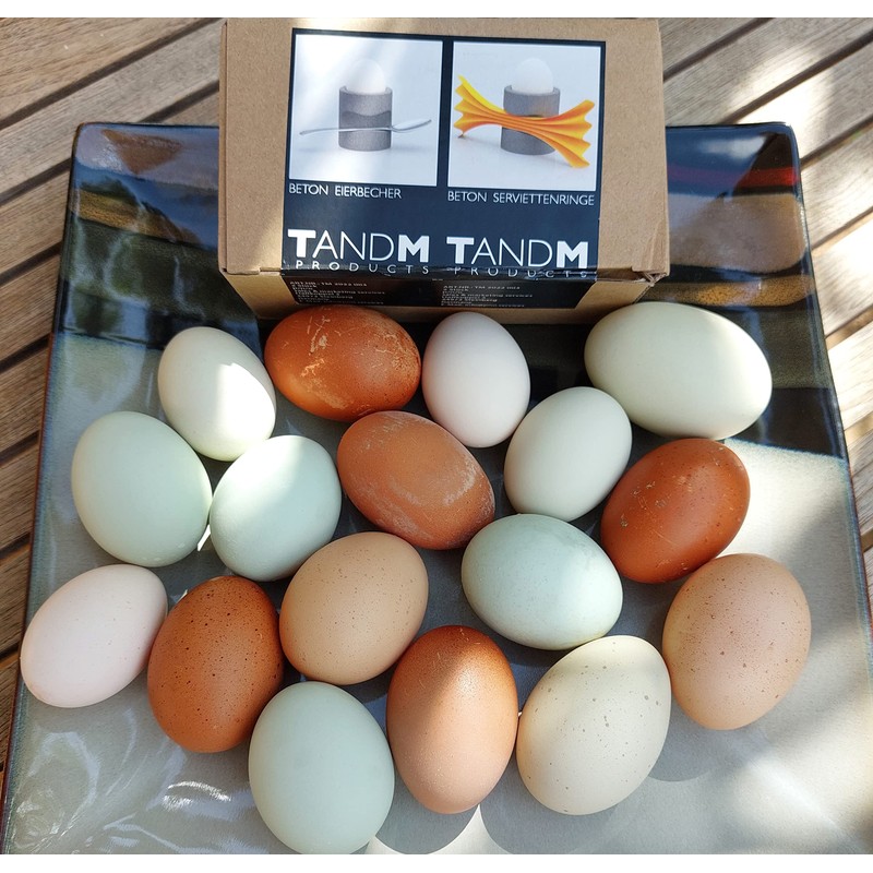 QMBasic Set of 2 Egg Cups | Grey Modern Concrete