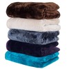 Lavish Home Solid Soft Heavy Thick Plush Mink Blanket 8