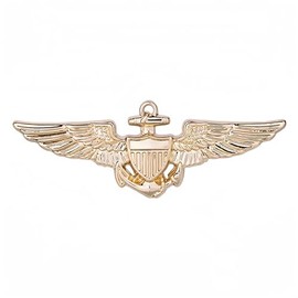 Pilot Wings Pin，Brooches and Pins for Women，Brooches for Women，Brooch Pin，Brooch Pins for Women，Flight Attendant Pin (1, Golden - B)