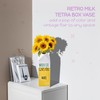 MEANT2TOBE | Milk Carton Vase - Juice Box Planter Design