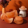 Windfulogo 2 Pcs Himalayan Salt Massage Stones Hot Massage Cold