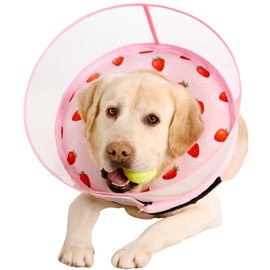 Inflatable Dog Cone Collar for Large Medium Small Dogs, Soft Dog Donut Collar Adjustable Recovery Cone for Pets After Surgery, Extra Enhanced Anti-Licking Guard Shield (Strawberry Print, Medium)