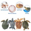 TOYMANY Set of 6 Turtle Figurines Realistic Turtle Animal Figures