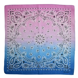NYFASHION101 Unisex Double Sided Print Paisley Cotton Bandana Head Wrap Scarf, Pink Blue Fade