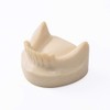 Easyinsmile Dental Lower Jaw Teeth Missing Demonstration Model & 8