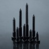 5/16 x 4 Black Hex Head Lag Screws Bolts (10
