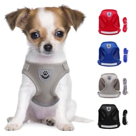 LOS ANDES Dog Harness Small Dogs, Cat Harness with Lead, Reflective Soft Padded Dog Harness, Air Mesh Chest Harness for Puppies, Small Dogs, Cats