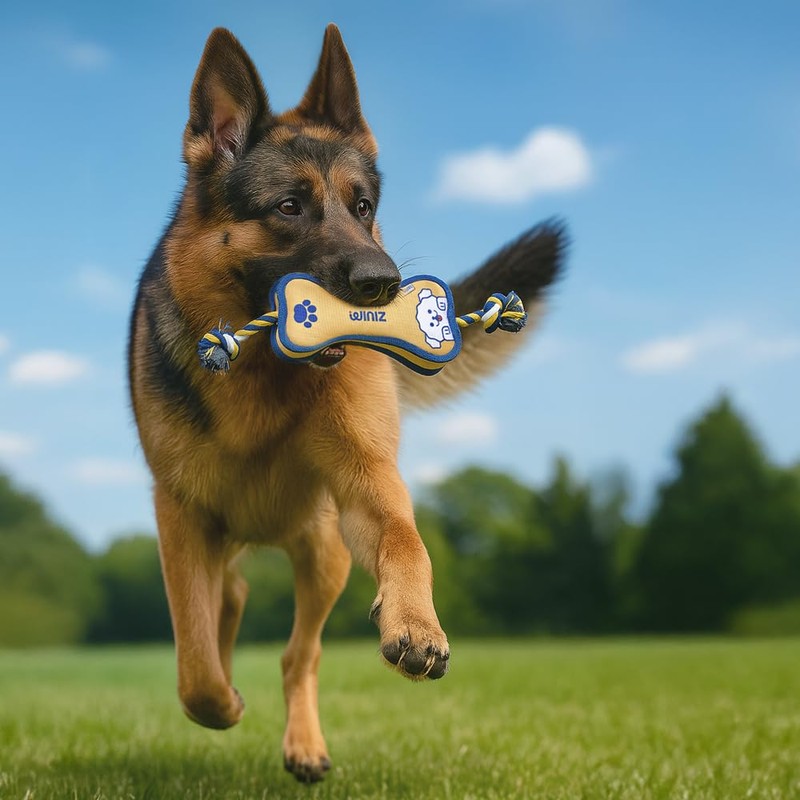 WINIZ Durable Dog Toy – Interactive Chew Toy – Multiple