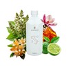 SCENTECA® "Vetiver Wood F.2024016" Raumduft Nachfüllpackung (500 Ml)