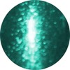 KOKOIST E-54 Color Gel 2.5g Emerald Micro Glitter UV/LED Compatible