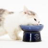 Neko-Ichi Bowl with Legs for Cats, Made in Japan (Blue,