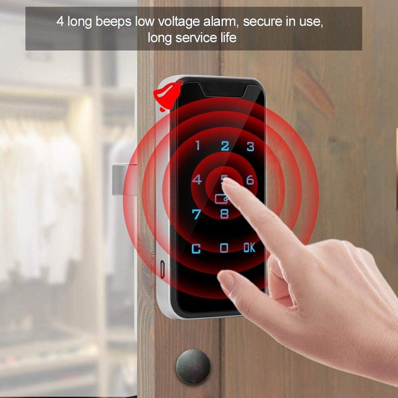 Electronic Cabinet Lock, Zinc Alloy Smart Digital RFID Password Keyless