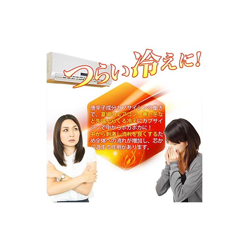 お徳用カプサイシン (540粒/約6ヶ月分)【123000110053102】