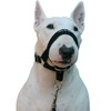 Dog Head Collar Halter Black (L 10.25inch12.25inch Snout)