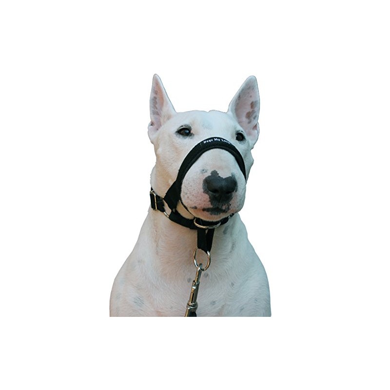 Dog Head Collar Halter Black (L 10.25inch12.25inch Snout)