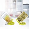 2pcs Sprouting Lids, Sprouting Jar Lid Kit Mesh Screen Sprouts