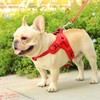 Dog Harness Small Medium Large Dog Vest Harness Step In