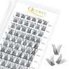 QUEWEL Individual Lashes DIY Cluster Lashes False Eyelashes Soft &