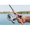 Trion Spinning Reel 6lb | 2.7kg