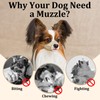 Mayerzon Short Snout Dog Muzzle, Small Muzzle for Chihuahua Shih
