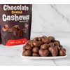 Platinum - Chocolate Coated Cashews 12 oz Resealable Pouch |