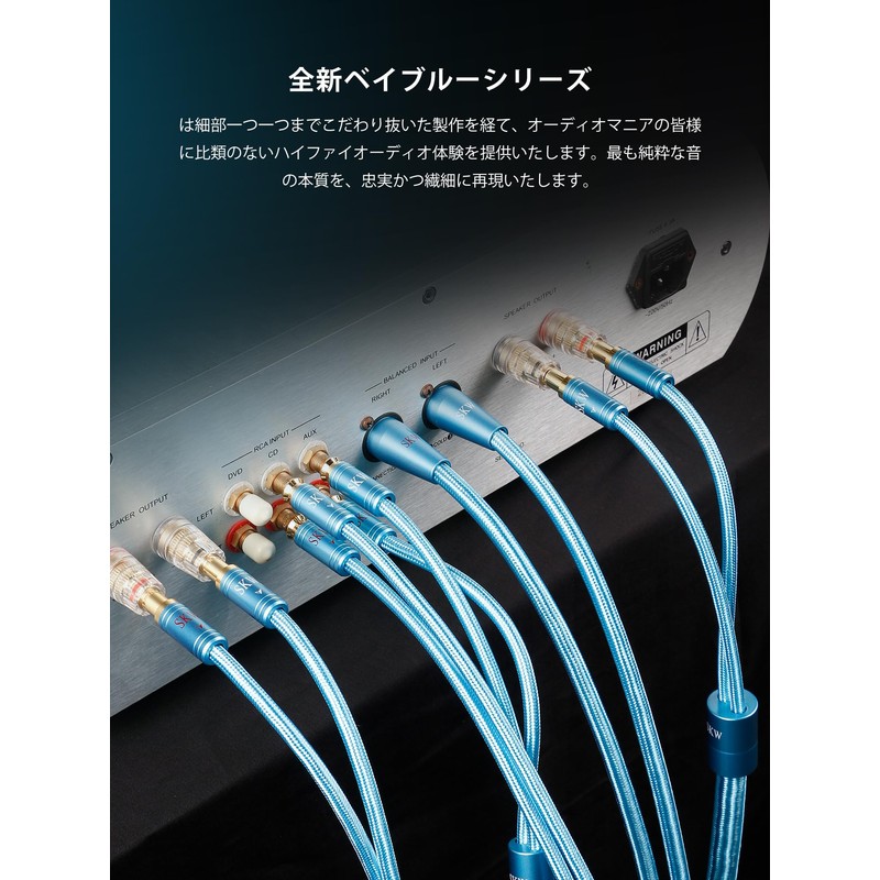 SKW 3.5mm Male to 2RCA Male Stereo Audio Converter Cable