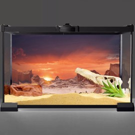 AWERT 48x24 inches Sun and Desert Terrarium Background Orange Reptile Habitat Background Durable Polyester Background