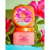 Tree Hut Pink Hibiscus Shea Sugar Scrub