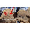 Cat's Claw Fasteners Cat’s Claw Wire Fence Fastening System for